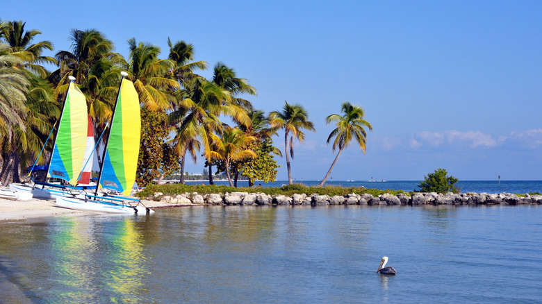 View of Smathers Beach with
