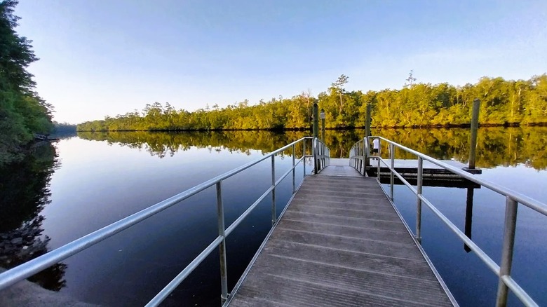 A ramp leading to a floating dock on a scenic river in Kingsland, Georgia, featuring dark waters and a tree-lined shore.