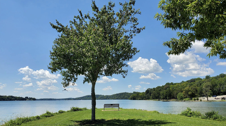 A bench on the edge of Fort Loudoun Lake in Concord Park, near Farragut, Tennessee
