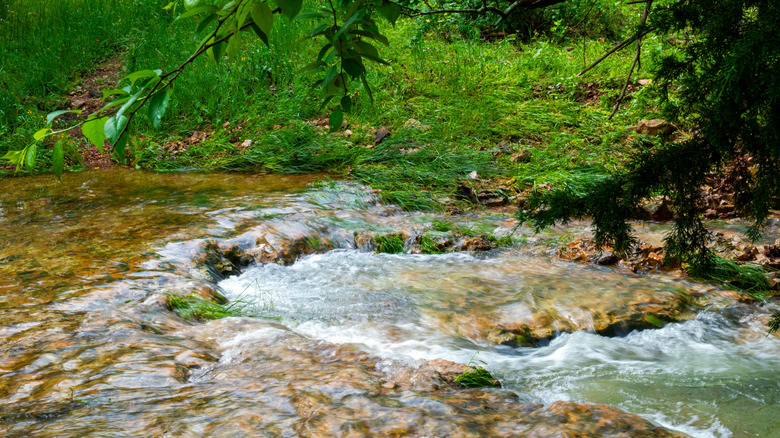 Close up of flowing water at LaBarque Creek Conservation Area in Missouri, surrounded by greenery.