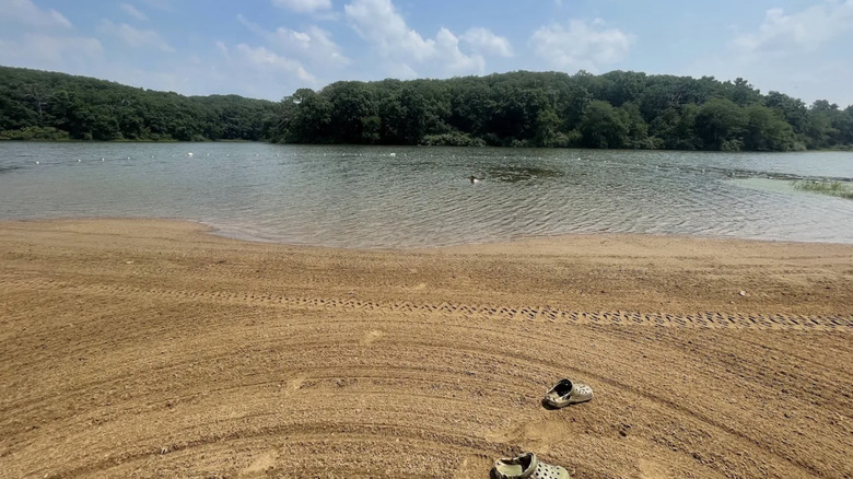 beach area at Lacey-Keosauqua State Park