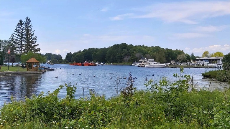 view from Grand Harbour Marina, Lagoon City, Ontario, Canada
