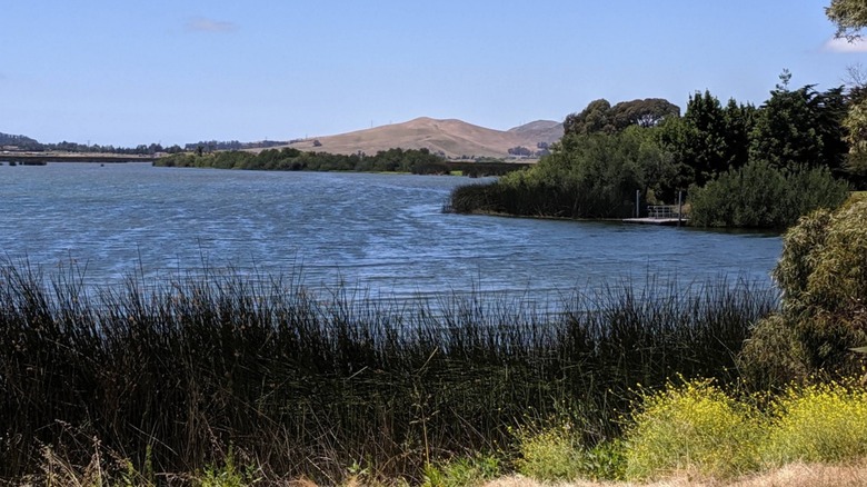 View of Laguna Park Lake in San Luis Obispo.