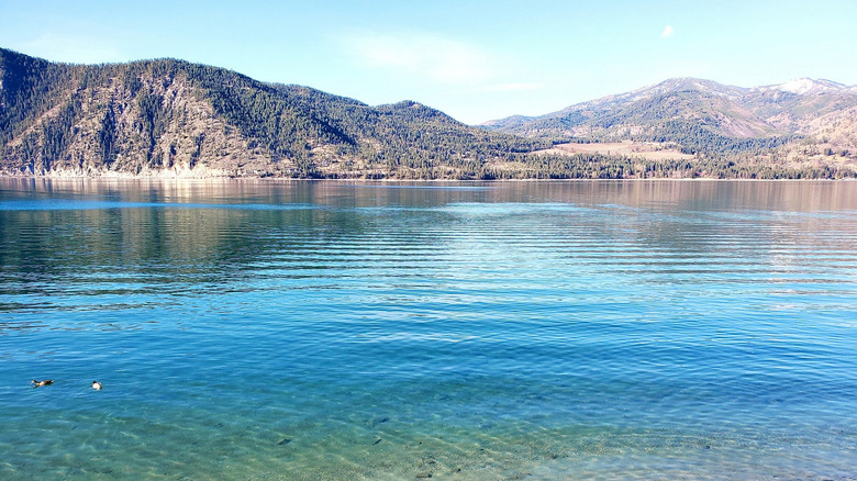 Lake Chelan's bright blue water surrounded by forested mountains during a sunny summer day, Washington