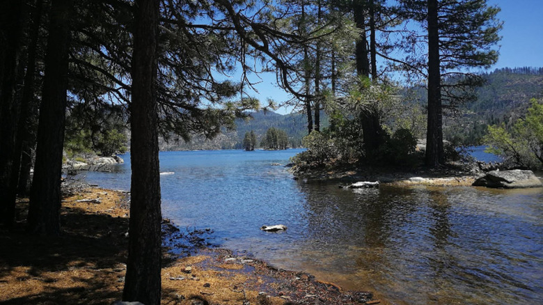 Campsite at Lake Eleanor in Yosemite National Park