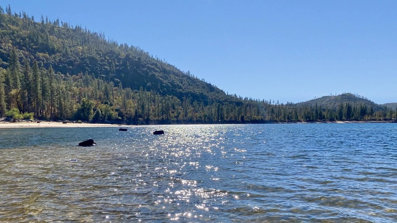 Lake Eleanor and forest in Yosemite National Park