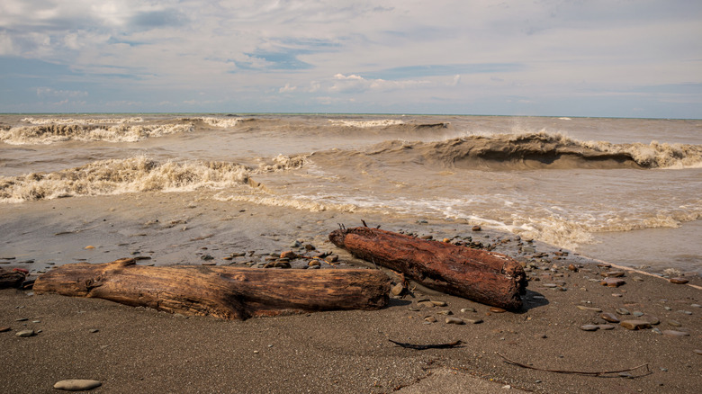 View of Lake Erie from Erie Bluffs State Park near Erie, Pennsylvania