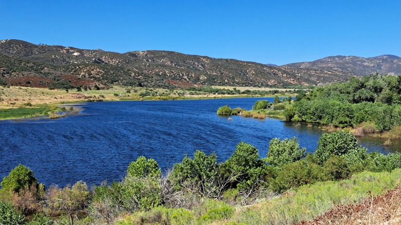Lake Elizabeth Picnic Site, California
