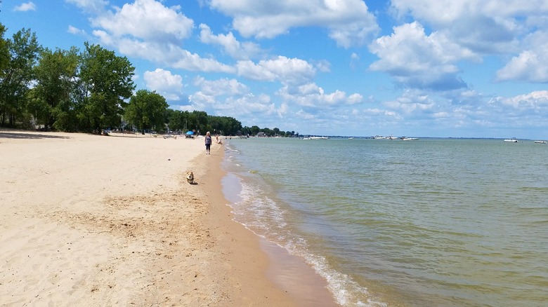 A woman walking her dog on the beach at Bay City State Park with blue skies, green trees, and boats in the distance