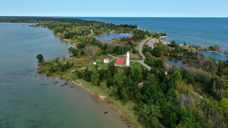 Aerial shot of Saginaw Bay with rippling blue-green water and the shore