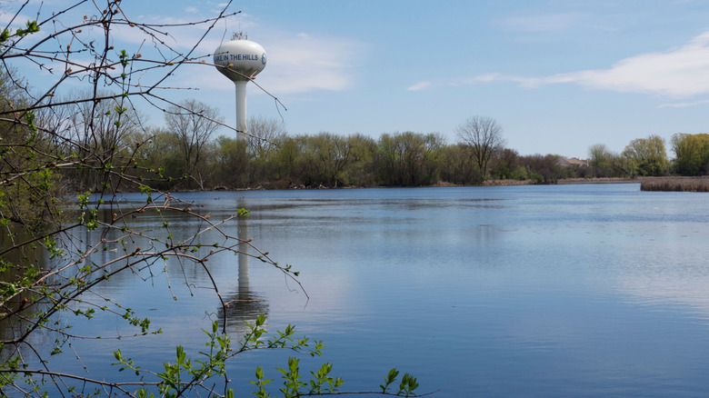 A Thriving Illinois Village Outside Chicago Offers Lakes, Parks, And A Scenic Nature Preserve