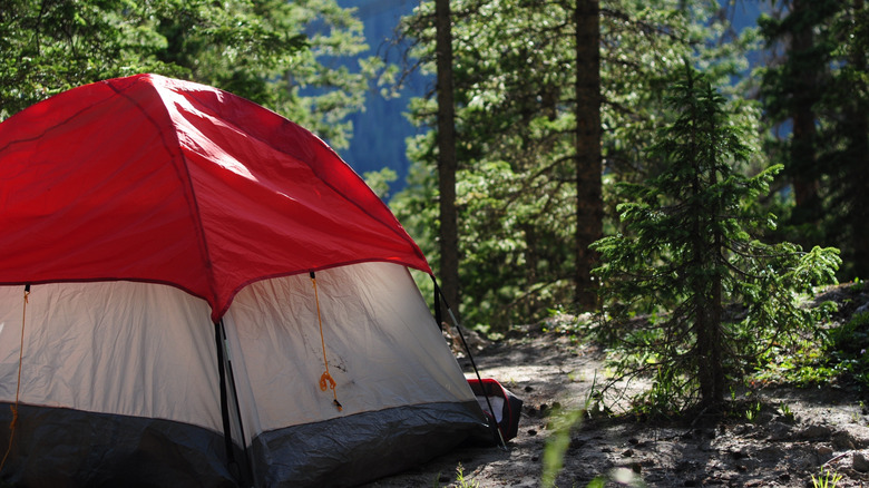 A tent set up for camping in the San Isabel National Forest in Colorado