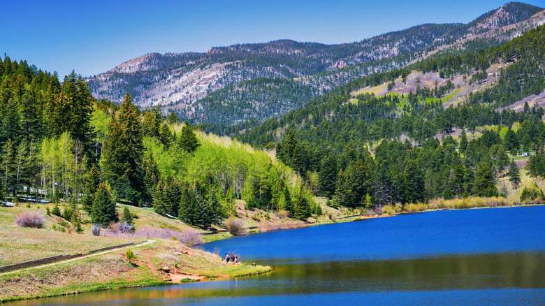 A family fishes near a trail on Colorado's Lake Isabel