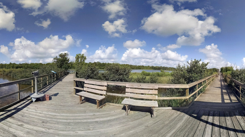 Boardwalk and benches at Wetlands Exhibit at Sea Center Texas in Lake Jackson, Texas.