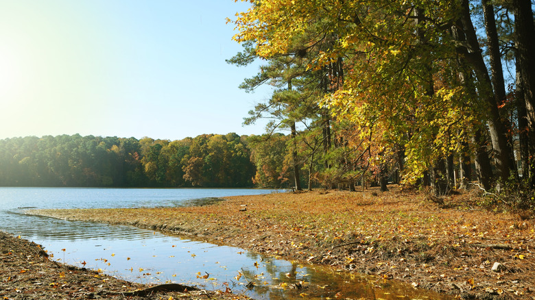 Lake surrounded by trees in Lake Johnson Park in Raleigh, North Carolina