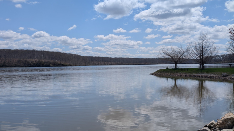 Lake Lou Yaeger's shoreline