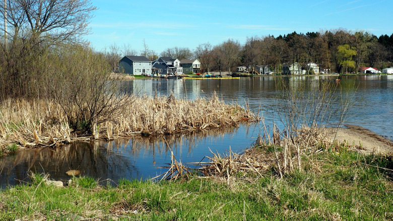 A view of houses along a lake