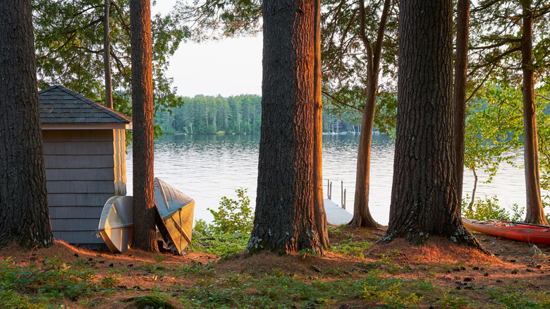 A shed and a boat turned on its side with a golden sunset through the trees at Lake Pennesseewassee, Maine