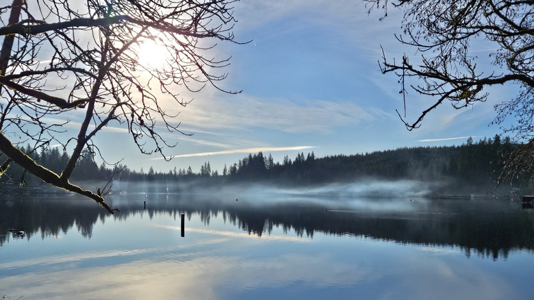 Fog and soft sun on Lake Roesiger surrounded by trees and reflecting the sky
