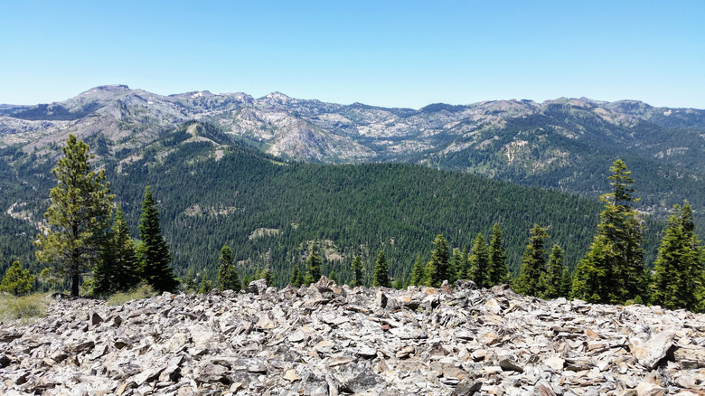 The Sierra Nevada mountains seen from Burton Creek State Park near Lake Tahoe, California