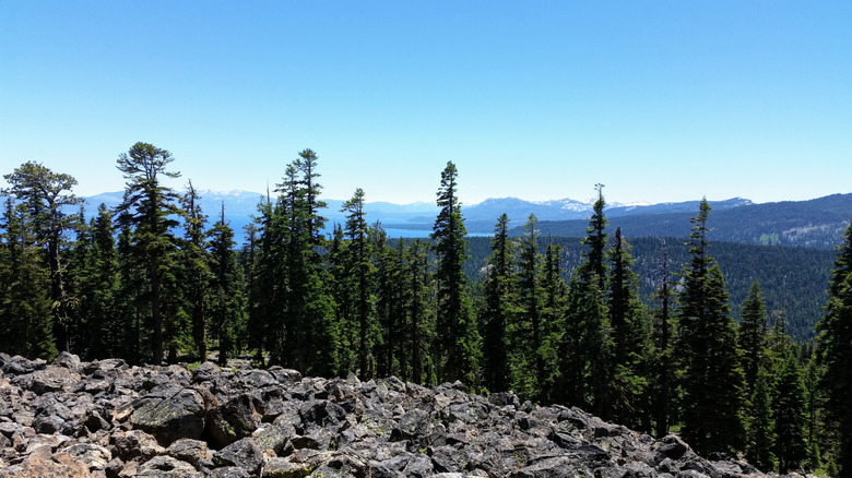 Panoramic view of Lake Tahoe from Burton Creek State Park, California