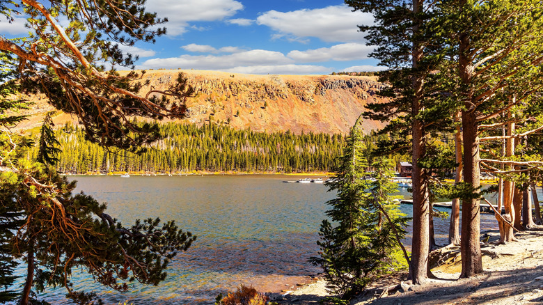 A pine forest surrounds Lake Mary's clear waters in Mammoth Lakes, California.