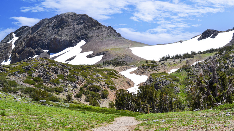 Trail to Lake Winnemucca with alpine view of snowy peaks in California