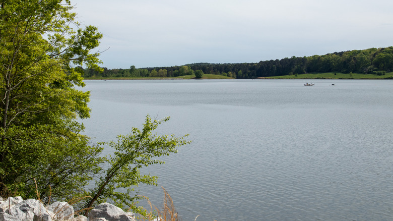 A bird's eye view of Lake Varner in Georgia