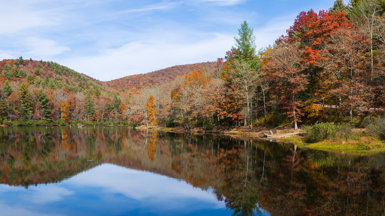 Reflections on the water at Lake Winfield Scott in fall, North Georgia.