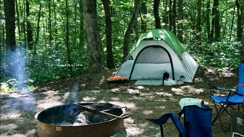 A green tent, camp chairs, and fire ring on a wooded campsite at Lake Winfield Scott Recreation Area, Georgia.