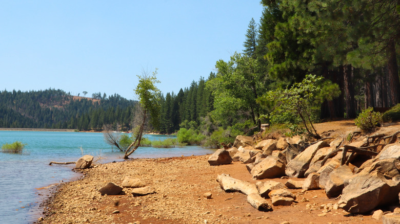 Lake view next to trees and rocky shore in California.