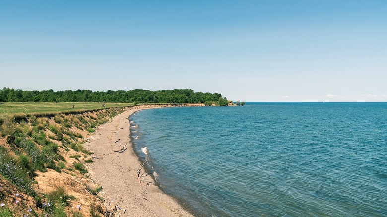 Lakeside State Park next to the shore.