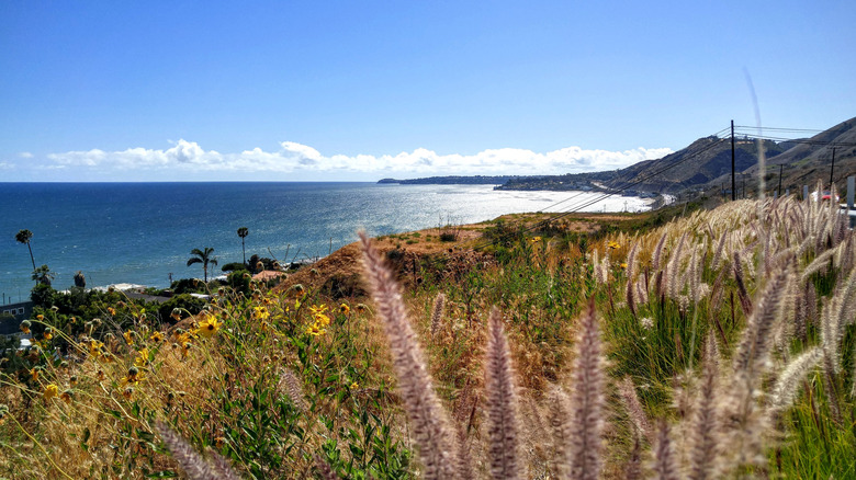 Looking out towards Dan Blocker Beach and the Pacific Ocean beyond
