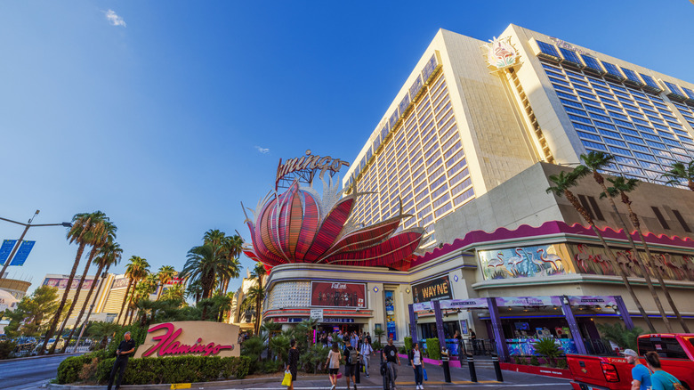 Exterior of the Flamingo Hotel