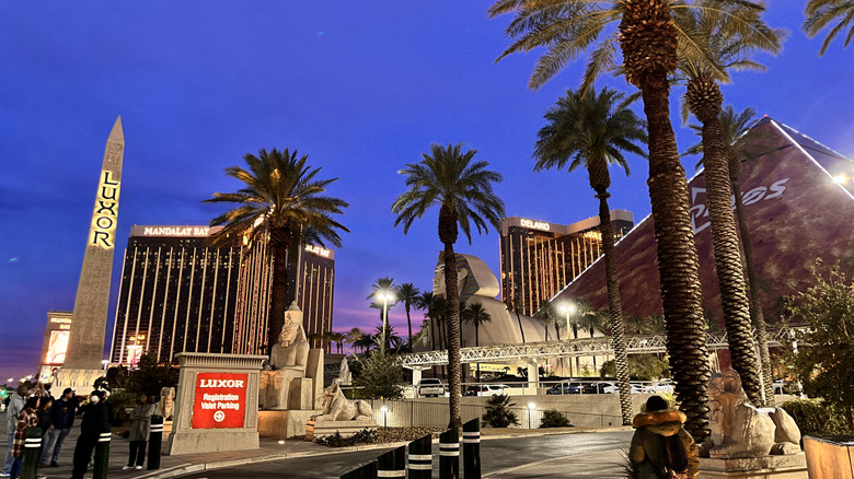 Hotels and Entertainment Venues in Las Vegas at night