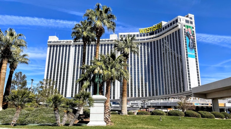 lawn and palm trees un front of a tall, curved white building, blue sky