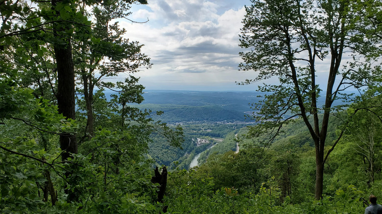A scenic overlook in Laurel Ridge State Park