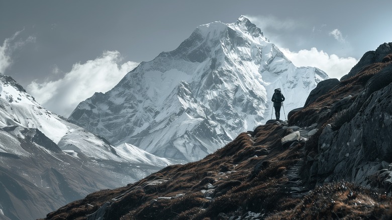 A lonely traveler admiring a mountainous landscape.