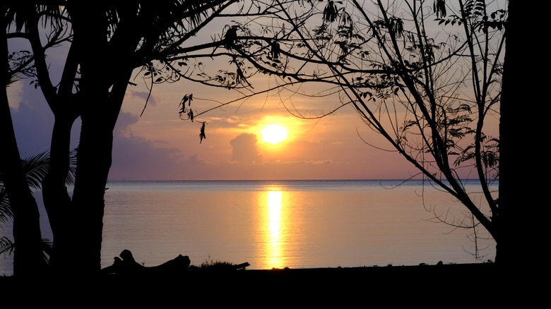 A golden sunrise through silhouetted trees overlooking the peaceful, calm and placid ocean from Atauro Island.