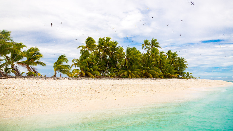 The Funafuti Conservation Area, Tuvalu.