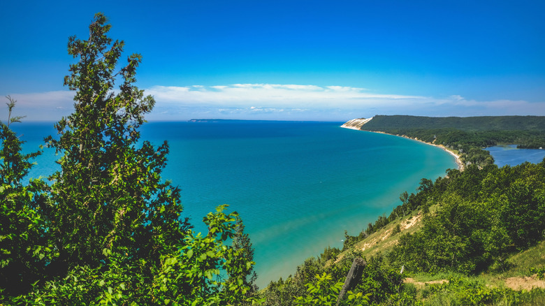 An elevated view of turquoise Lake Michigan shoreline surrounded by dense green forest