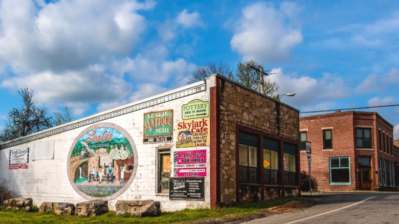Buildings, murals, and antique mall signs in downtown Leslie, AR.