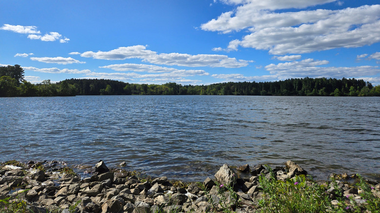 A view of Lake Ontelaunee on a clear day with blue water, green pine trees in the distance, and a blue sky.