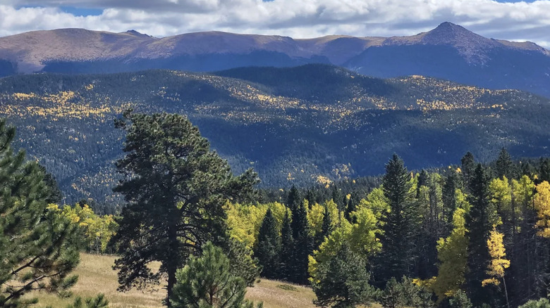 Rolling mountains and colorful aspen views from Mueller State Park in Colorado