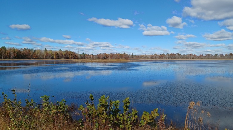 Clouds reflected in Pikes Peak Flowage at Navarino Wildlife Area