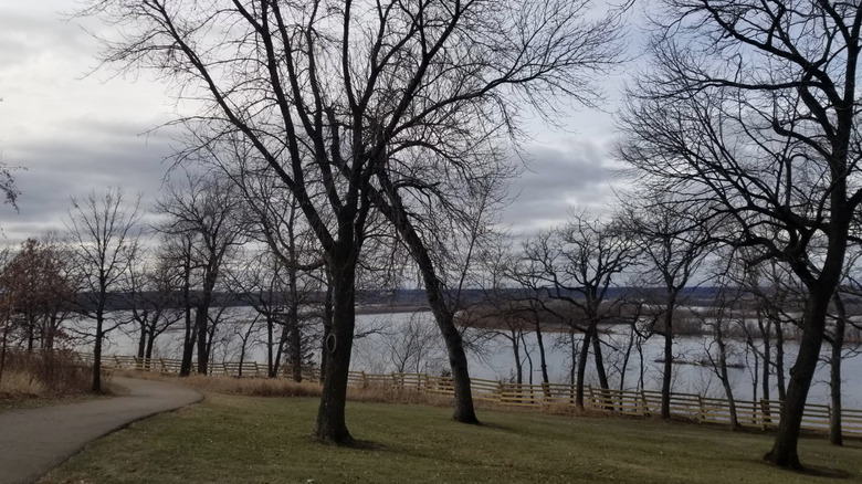 A view of the lake, trees, and a paved  path within Spring Lake Park Reserve