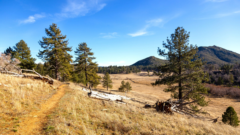 The Stonewall Mine hiking trail