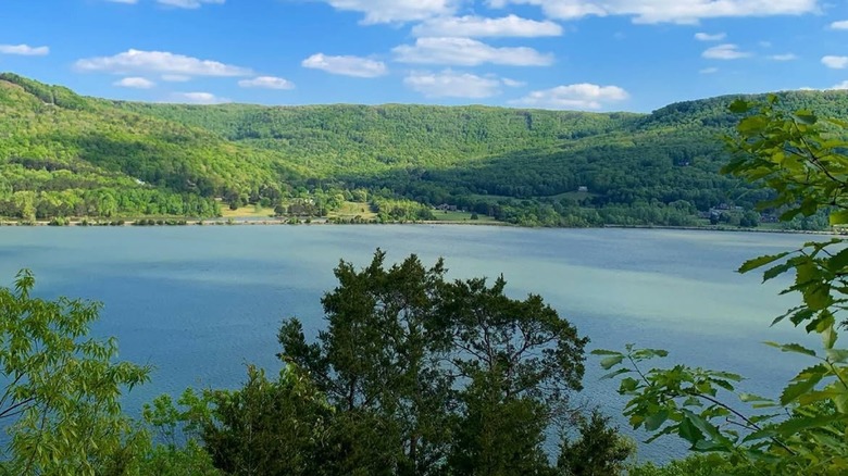 Wide shot of lake with mountain and forest views in distance