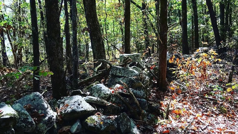Leafy trail in wooded area with piles of rocks along the pathway