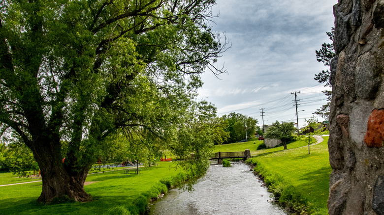 Scenic park with walkable paths in Hartford